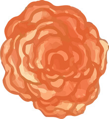 red rose watercolor flower