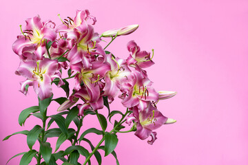 Bouquet of pink flowers on pink background. Space for text. 