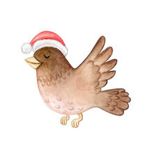 Sparrow bird in red santa hat isolated on a white background. Watercolor illustration. Christmas New Year card