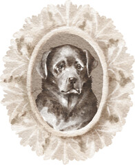 Labrador dog portrait