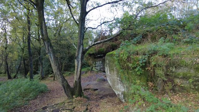Brimham rocks formation and autumn forest