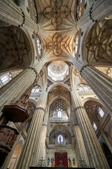 New Cathedral of Salamanca, Salamanca City, Spain, Europe.