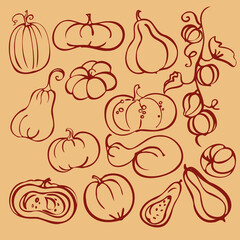 A set of separate different doodle pumpkins and hand graphics. 