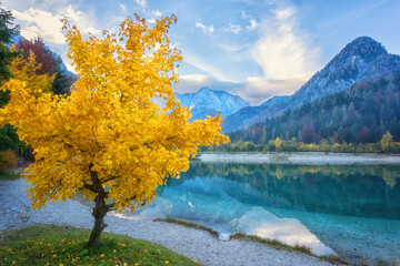 Jasna lake in the Triglav national park with crystal clear water, yellow tree, mountain peaks and...