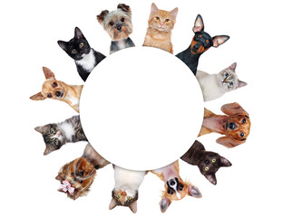 Round frame with a group of cats and dogs of different breeds