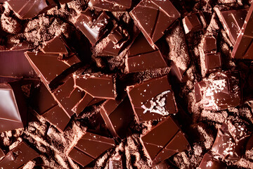 chocolate, a sweet food made from cacao and milk, a yummy snack