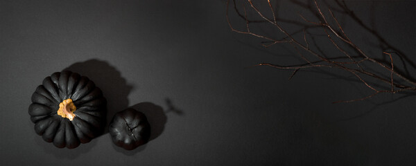 Black pumpkins and black branches on a black background. Halloween web banner with copy space for text