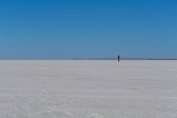 Fototapeta na wymiar Salt Flats in Utah. Salt Flats Landscape. Blue Sky and Snow-White Salt Soil. Bonneville Salt Flats. High quality photo