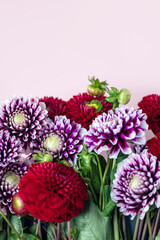Beautiful bunch of dahlia flowers on pink background, Autumn garden flowers, copy space