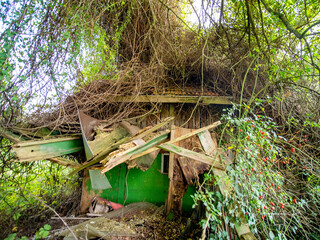 Beschädigtes und zugewachsenes Gartenhaus