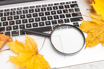 Autumn Leaves Fall Season Concept