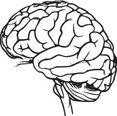 Human brain black and white isoloted vector illustration medical health