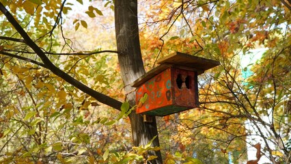 birdhouse on tree