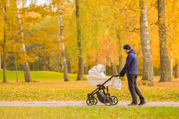 Young adult father pushing white baby stroller and walking at city park in colorful autumn day....