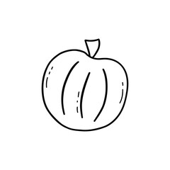 Round pumpkin. Black and white doodle vector isolated illustration hand drawn. Happy Halloween. Harvesting autumn season. Ripe gourd, organic vegetable food icon
