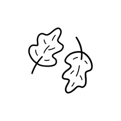 Set of autumn fallen oak leaves. Black and white vector isolated illustration hand drawn doodle. Print or card. Fall season