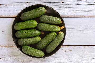 Fresh cucumbers from the garden on a light wooden background, natural eco food