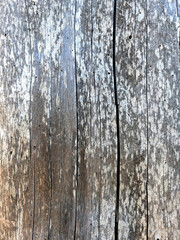 Obraz premium cracked dry coniferous wood nature texture background