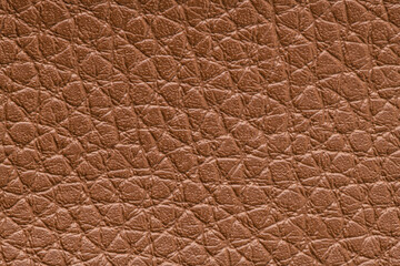 Closeup detail of brown leather texture background.