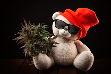 plush funny bear with a cannabis bush