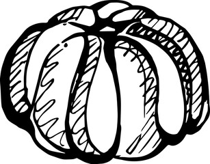 Autumn hand drawn doodle ink pumpkin. PNG black and white  illustration