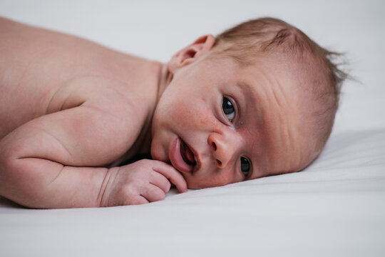 two week old very cute baby naked on a white sheet. High quality photo