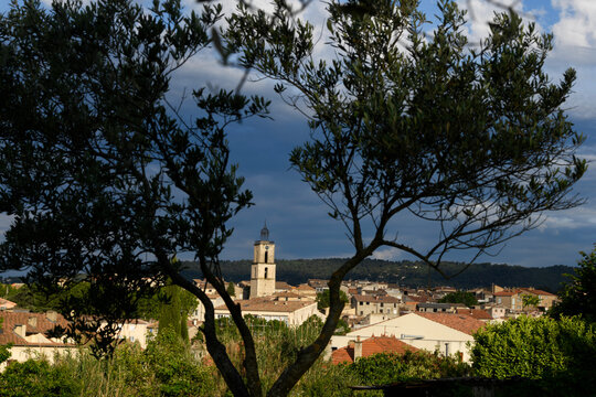 Manosque - Provence, clocher, olivier