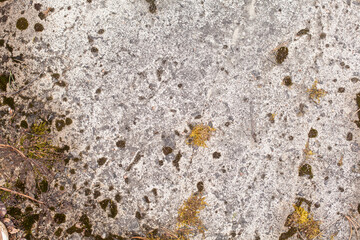 Stone texture background, nature detail