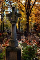 Jesienny cmentarz w Krakowie