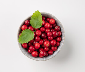Juicy forest lingonberry in a  bowl on a white isolated background with mint leaf. Healthy food...