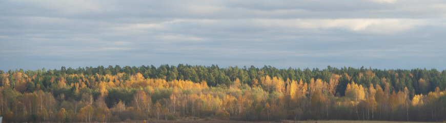 Fototapeta premium Autumn landscape, nature landscape.Golden autumn skyline.
