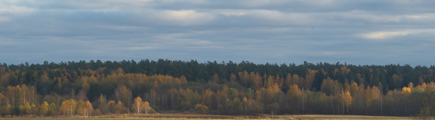 Autumn landscape, nature landscape.Golden autumn skyline.