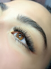 Close up of eyelash Extensions in beauty salon macro eye