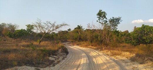 BIOMA CERRADO CAXIAS MARANHÃO