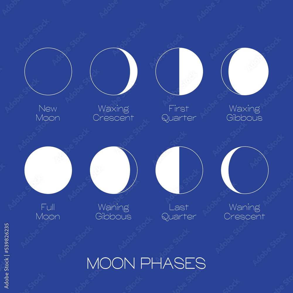 Wall mural moon phases scheme sphere shadow cycle astronomy icon set. vector illustration background