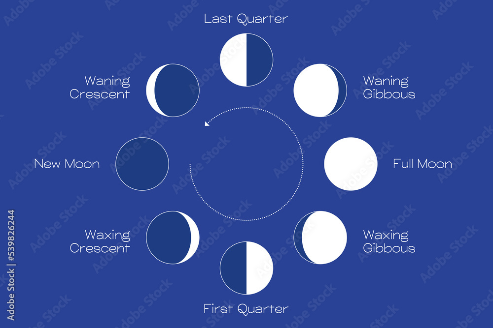 Wall mural moon phases scheme sphere shadow cycle astronomy icon set. vector illustration background
