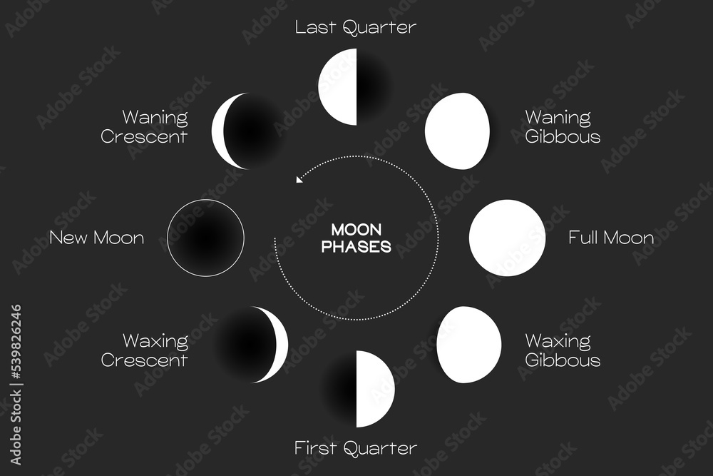Poster moon phases scheme sphere shadow cycle astronomy icon set. vector illustration background