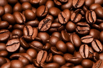 a photo of roasted coffee beans, popular drink ingredient