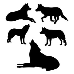 Set of silhouettes of wolves that hunt, lie, howl for design