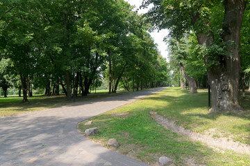 Fototapeta na wymiar Walkway in the park in the summer