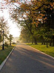 Walkway in the park in the summer