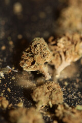 Marihuana medical bad cbd close up botanical background big size high quality print