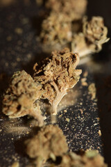 Marihuana medical bad cbd close up botanical background big size high quality print