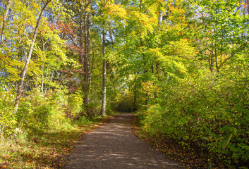 Beautiful Autumn Country Landscape on a sunny day.