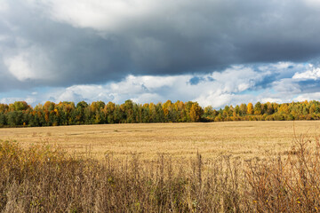 Contrasting autumn landscape with a gloomy stormy sky and at the same time a sunny field and forest on the horizon