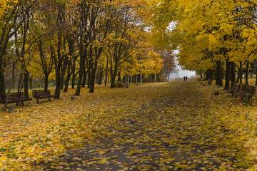 Walkway in the park in the summer