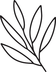 Hand drawn branch with leaves doolde vector clipart