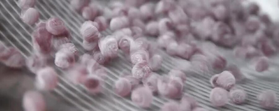 Candy, Sweet, Cute Videos Very Cool