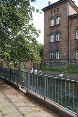 Old vintage houses along canals in Gdansk. Poland