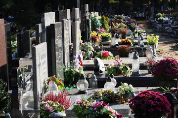 Cmentarz jesienią z alejką grobów bliskich. Wszystkich świętych - obrazy, fototapety, plakaty